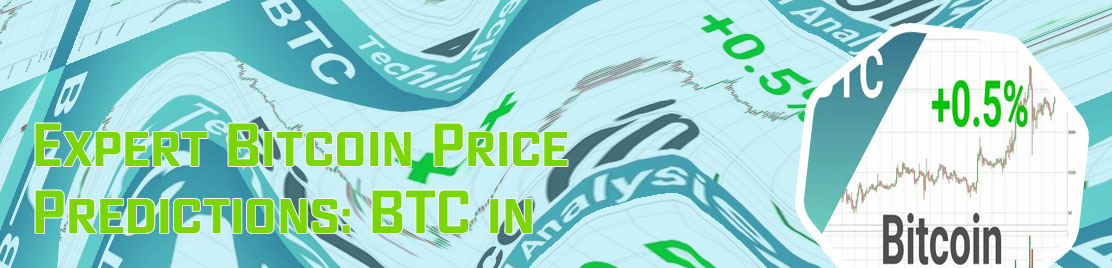 Bitcoin price prediction november