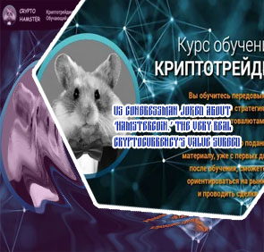 Hamster crypto value
