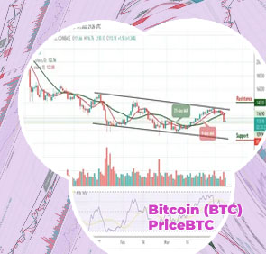 Lightcoin price usd